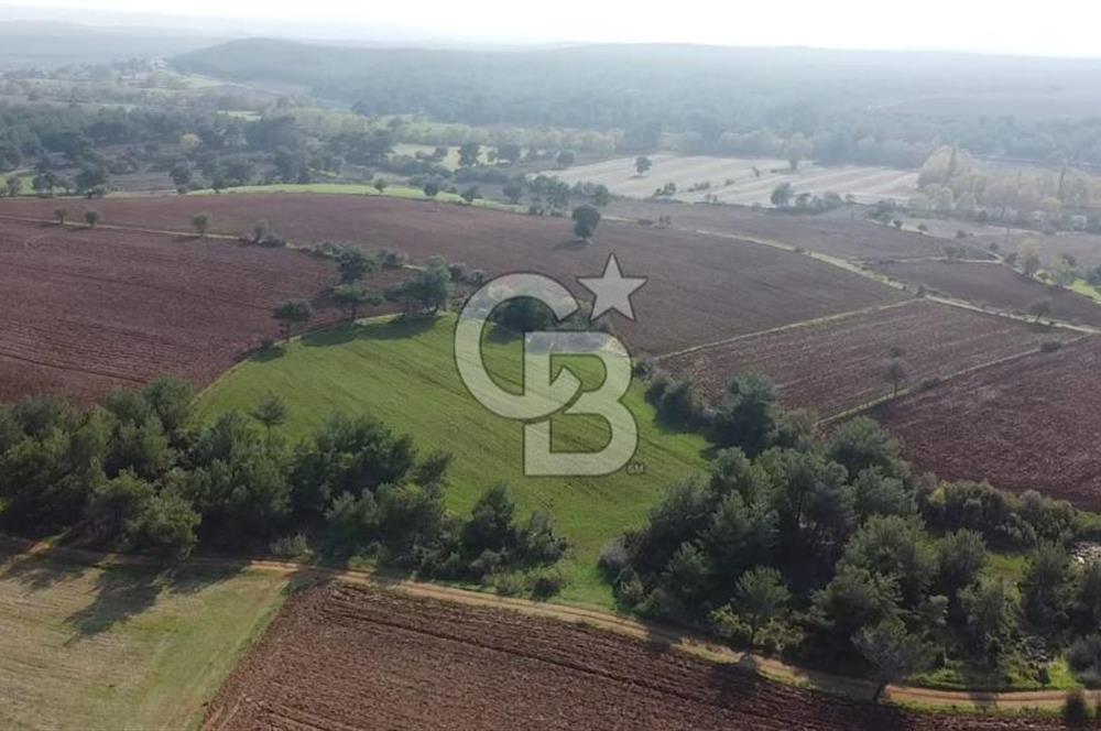 ÇANAKKALE BAYRAMİÇ YAHŞİELİ KÖYÜNDE 6.5 DÖNÜM YATIRIMLIK TARLA !!!