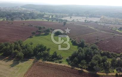 ÇANAKKALE BAYRAMİÇ YAHŞİELİ KÖYÜNDE 6.5 DÖNÜM YATIRIMLIK TARLA !!!