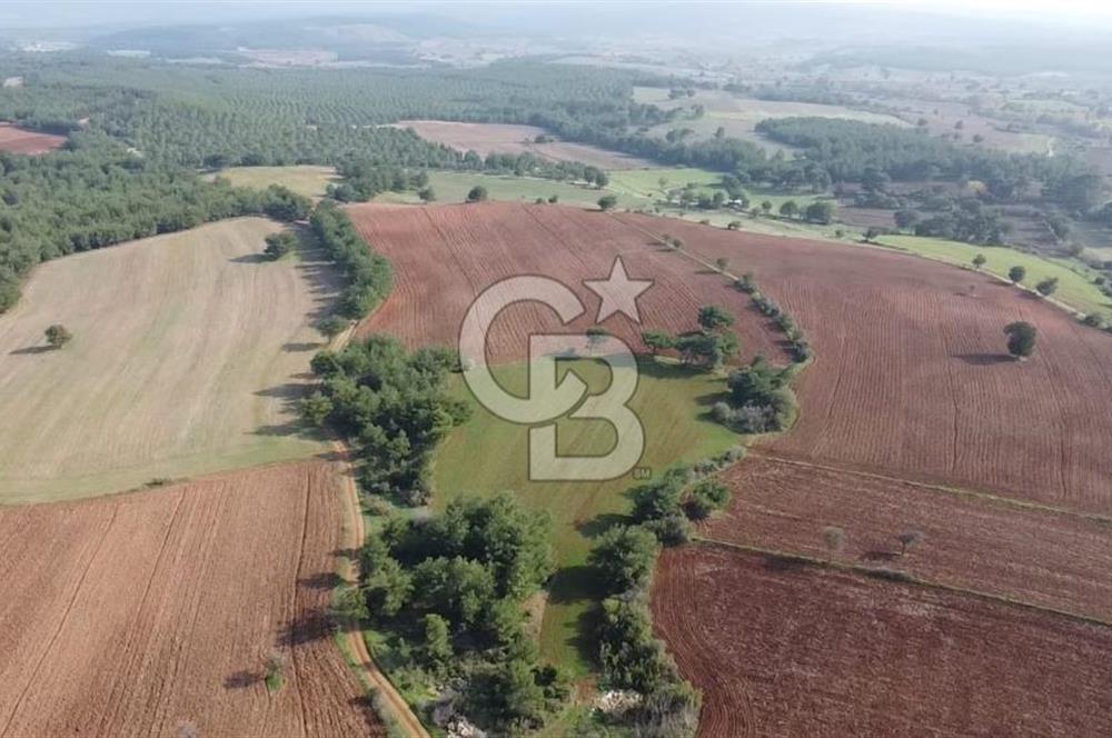 ÇANAKKALE BAYRAMİÇ YAHŞİELİ KÖYÜNDE 6.5 DÖNÜM YATIRIMLIK TARLA !!!