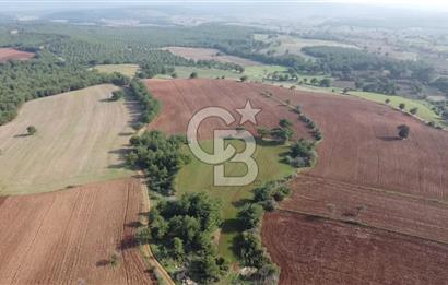 ÇANAKKALE BAYRAMİÇ YAHŞİELİ KÖYÜNDE 6.5 DÖNÜM YATIRIMLIK TARLA !!!