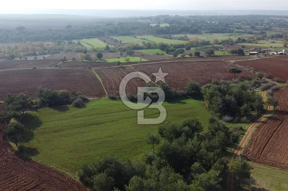 ÇANAKKALE BAYRAMİÇ YAHŞİELİ KÖYÜNDE 6.5 DÖNÜM YATIRIMLIK TARLA !!!