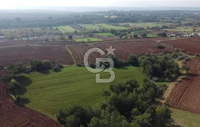 ÇANAKKALE BAYRAMİÇ YAHŞİELİ KÖYÜNDE 6.5 DÖNÜM YATIRIMLIK TARLA !!!