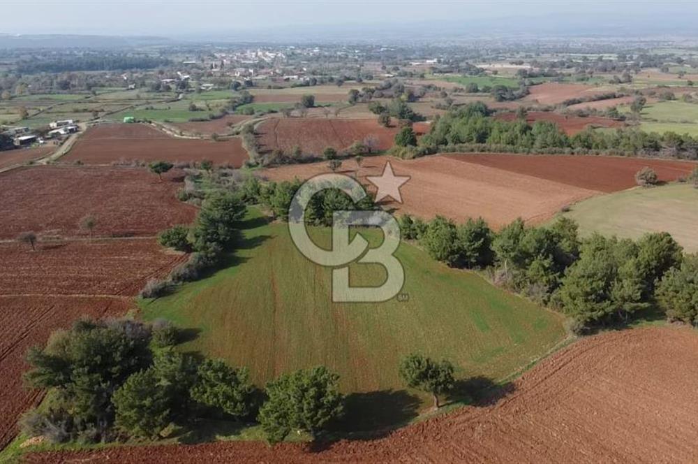 ÇANAKKALE BAYRAMİÇ YAHŞİELİ KÖYÜNDE 6.5 DÖNÜM YATIRIMLIK TARLA !!!