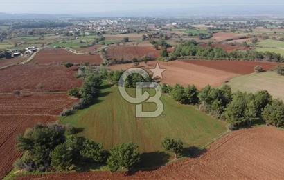 ÇANAKKALE BAYRAMİÇ YAHŞİELİ KÖYÜNDE 6.5 DÖNÜM YATIRIMLIK TARLA !!!