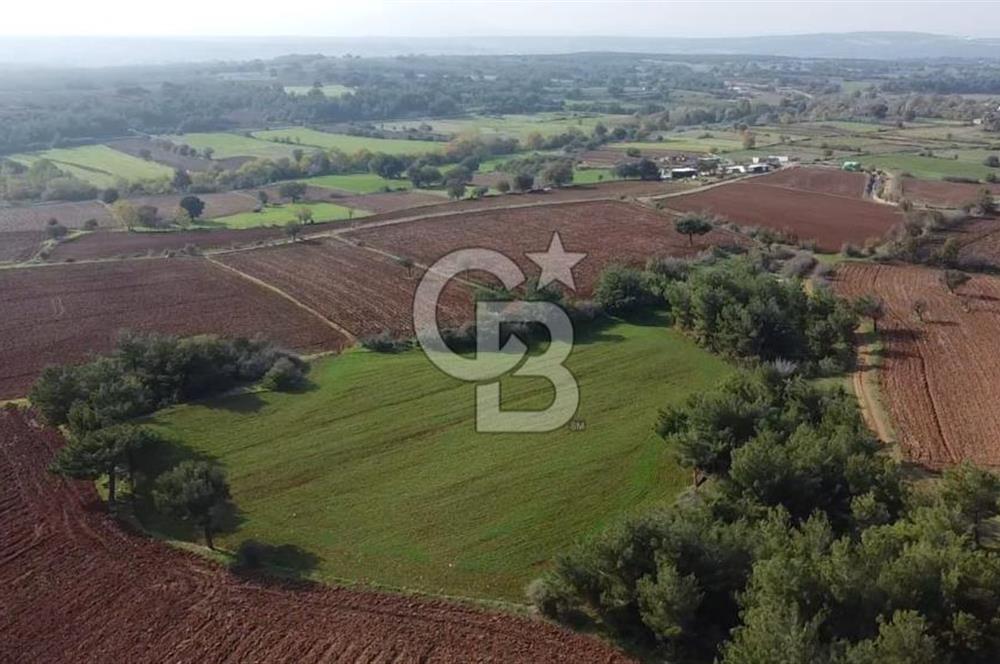 ÇANAKKALE BAYRAMİÇ YAHŞİELİ KÖYÜNDE 6.5 DÖNÜM YATIRIMLIK TARLA !!!