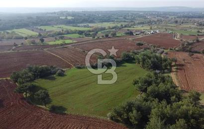 ÇANAKKALE BAYRAMİÇ YAHŞİELİ KÖYÜNDE 6.5 DÖNÜM YATIRIMLIK TARLA !!!