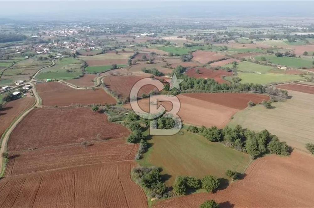 ÇANAKKALE BAYRAMİÇ YAHŞİELİ KÖYÜNDE 6.5 DÖNÜM YATIRIMLIK TARLA !!!