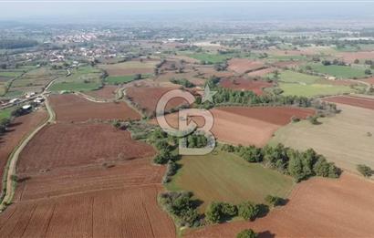 ÇANAKKALE BAYRAMİÇ YAHŞİELİ KÖYÜNDE 6.5 DÖNÜM YATIRIMLIK TARLA !!!