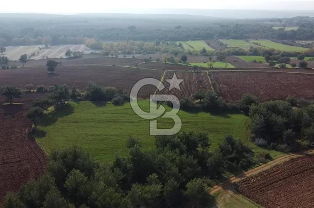 ÇANAKKALE BAYRAMİÇ YAHŞİELİ KÖYÜNDE 6.5 DÖNÜM YATIRIMLIK TARLA !!!