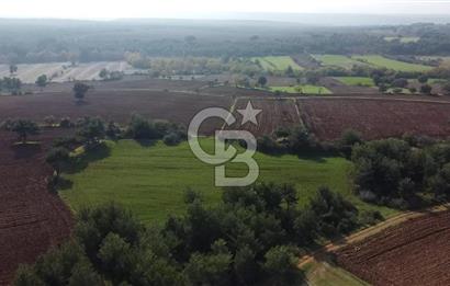 ÇANAKKALE BAYRAMİÇ YAHŞİELİ KÖYÜNDE 6.5 DÖNÜM YATIRIMLIK TARLA !!!