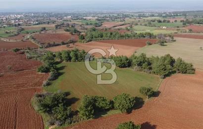 ÇANAKKALE BAYRAMİÇ YAHŞİELİ KÖYÜNDE 6.5 DÖNÜM YATIRIMLIK TARLA !!!