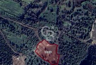 ALİAĞA KARAKUZU 200 M2 SATILIK TARLA - 2 - 313876