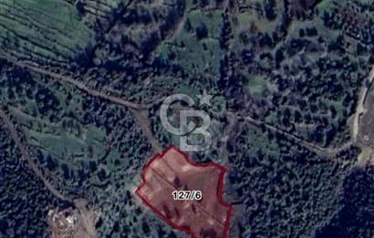 ALİAĞA KARAKUZU 200 M2 SATILIK TARLA