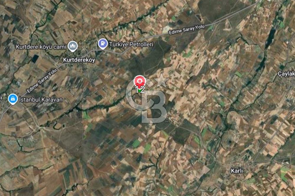 Tekirdağ Saray'da İdeal Konumda 8.750 m² Satılık Verimli Tarla