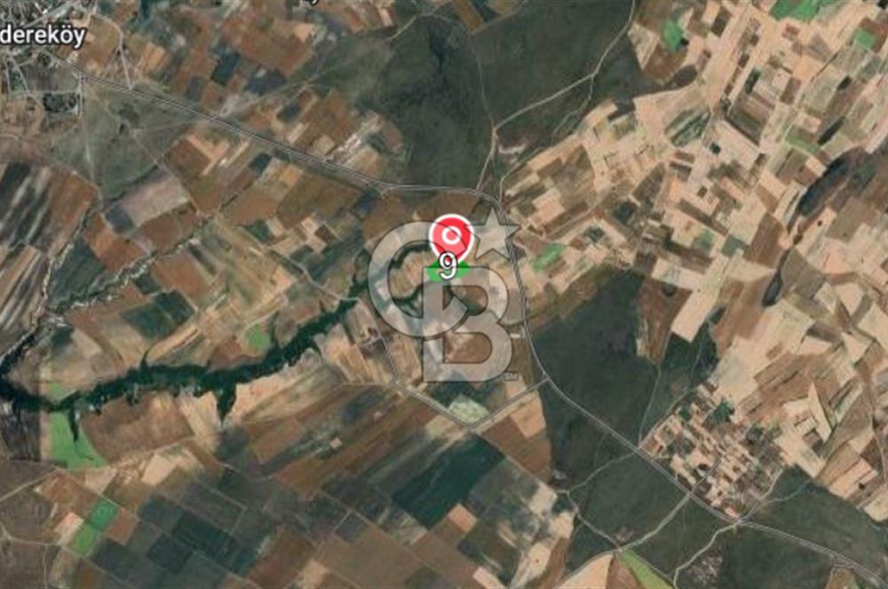 Tekirdağ Saray Kurtderede 10.000 m² Satılık Fırsat Tarla!