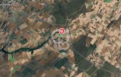 Tekirdağ Saray Kurtderede 10.000 m² Satılık Fırsat Tarla!