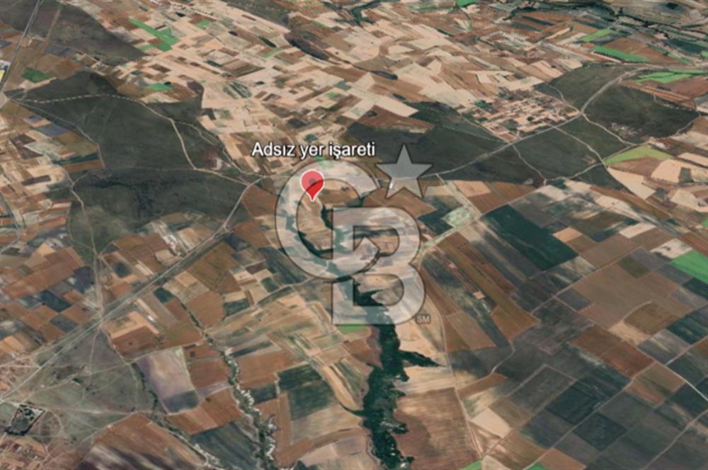 Tekirdağ Saray Kurtderede 10.000 m² Satılık Fırsat Tarla!