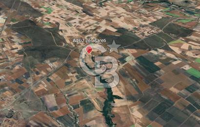 Tekirdağ Saray Kurtderede 10.000 m² Satılık Fırsat Tarla!