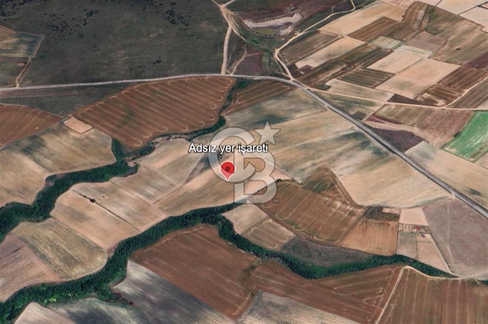 Tekirdağ Saray'da İdeal Konumda 8.750 m² Satılık Verimli Tarla