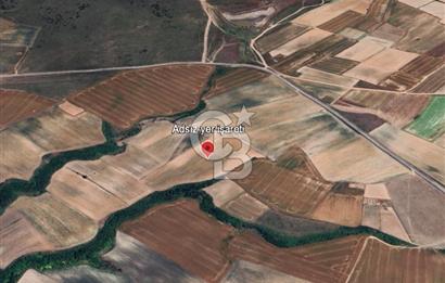 Tekirdağ Saray'da İdeal Konumda 8.750 m² Satılık Verimli Tarla