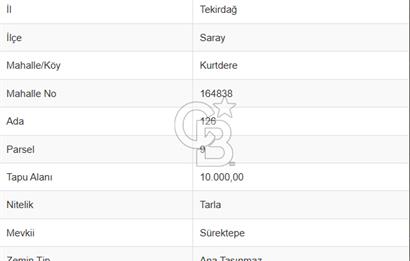 Tekirdağ Saray Kurtderede 10.000 m² Satılık Fırsat Tarla!