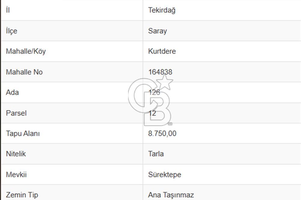 Tekirdağ Saray'da İdeal Konumda 8.750 m² Satılık Verimli Tarla