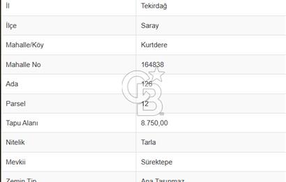 Tekirdağ Saray'da İdeal Konumda 8.750 m² Satılık Verimli Tarla