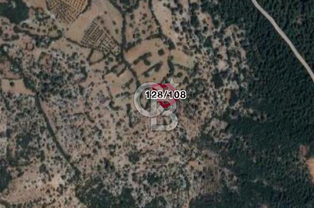 Menteşe Çiftlik Köyünde 2 Dönüm Yatırımlık Satılık Tarla