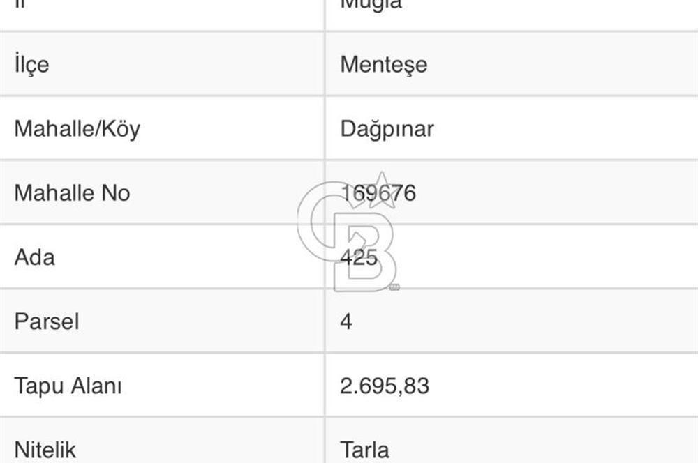 Menteşe Dağpınar’da Yola Yakın Satılık Tarla