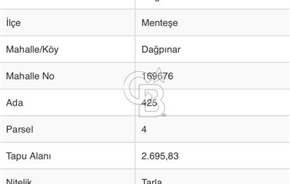 Menteşe Dağpınar’da Yola Yakın Satılık Tarla