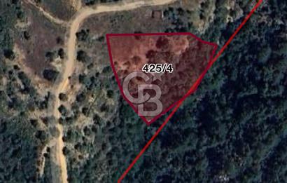 Menteşe Dağpınar’da Yola Yakın Satılık Tarla