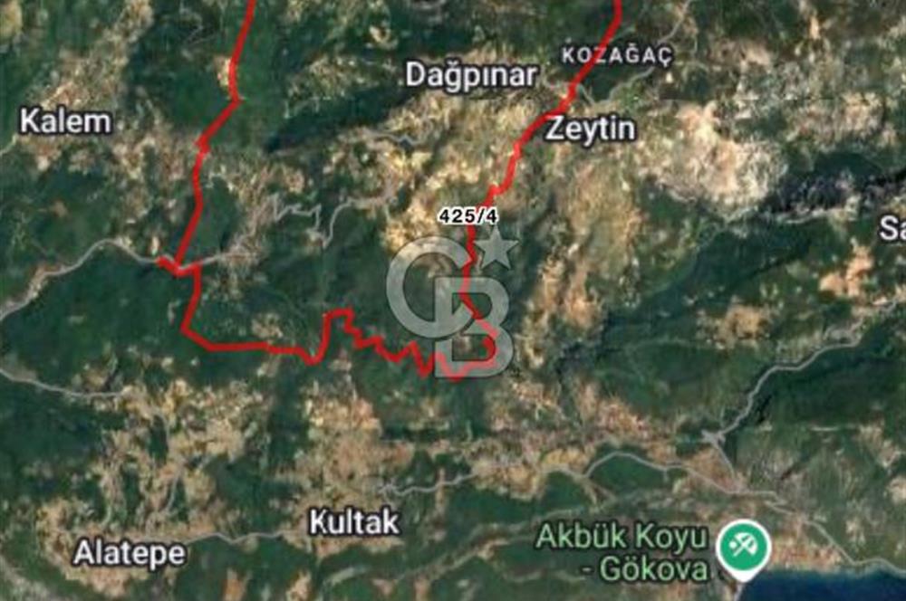 Menteşe Dağpınar’da Yola Yakın Satılık Tarla