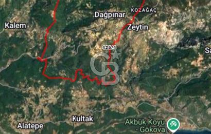 Menteşe Dağpınar’da Yola Yakın Satılık Tarla