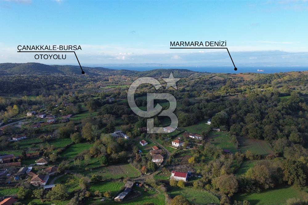 ÇANAKKALE LAPSEKİ GÜRECİ KÖYÜNDE SATILIK ARSA 🏡