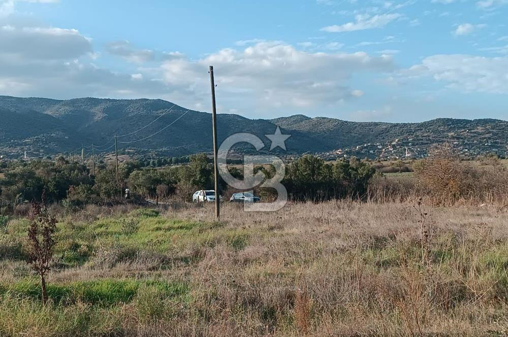 Aydın Çine Saraçlar'da Meralık Yatırım Fırsatı