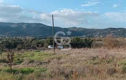 Aydın Çine Saraçlar'da Meralık Yatırım Fırsatı