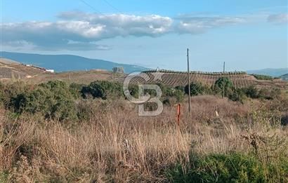 Aydın Çine Saraçlar'da Meralık Yatırım Fırsatı