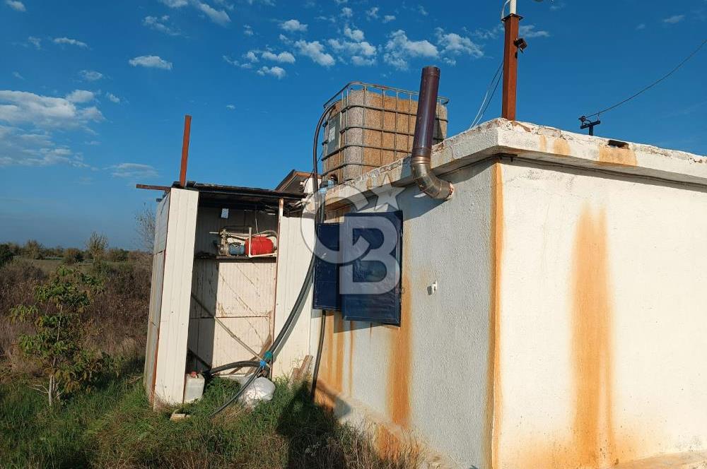 Aydın Çine Saraçlar'da Meralık Yatırım Fırsatı