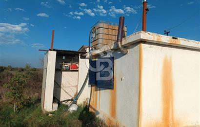 Aydın Çine Saraçlar'da Meralık Yatırım Fırsatı