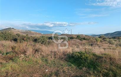 Aydın Çine Saraçlar'da Meralık Yatırım Fırsatı