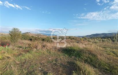 Aydın Çine Saraçlar'da Meralık Yatırım Fırsatı