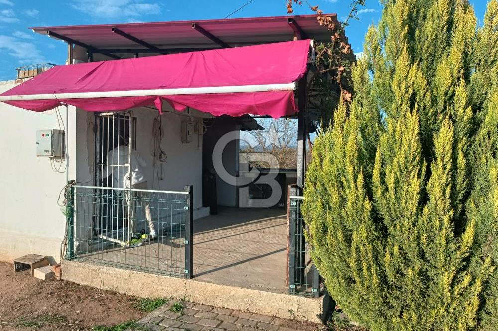 Aydın Çine Saraçlar'da Meralık Yatırım Fırsatı