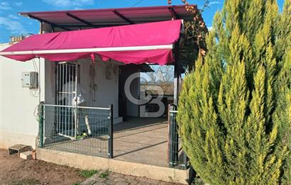 Aydın Çine Saraçlar'da Meralık Yatırım Fırsatı