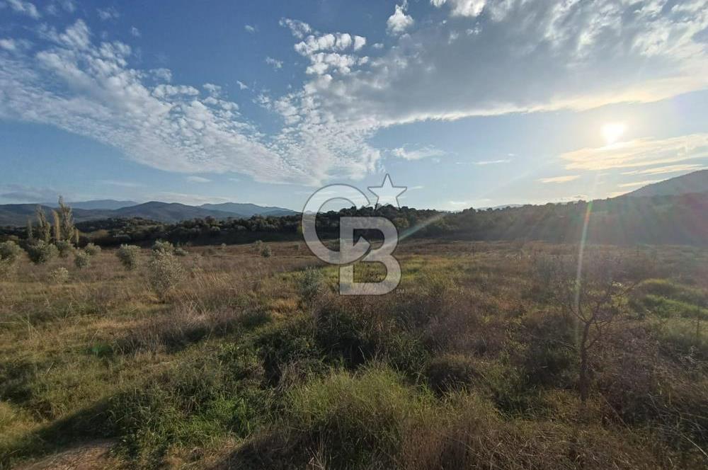 Aydın Çine Saraçlar'da Meralık Yatırım Fırsatı