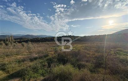 Aydın Çine Saraçlar'da Meralık Yatırım Fırsatı