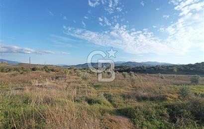 Aydın Çine Saraçlar'da Meralık Yatırım Fırsatı