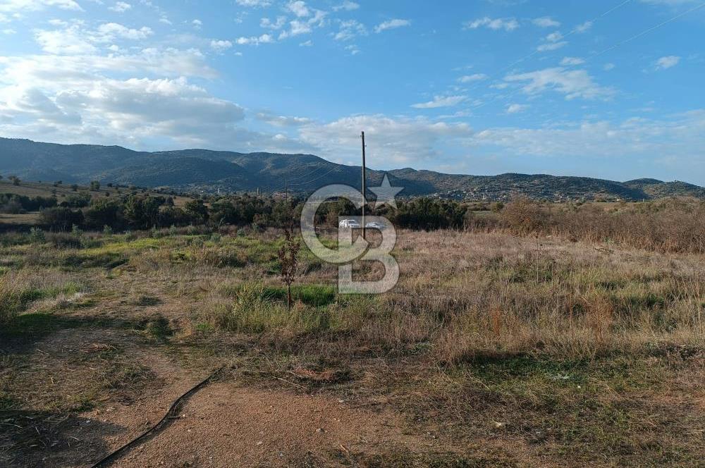 Aydın Çine Saraçlar'da Meralık Yatırım Fırsatı