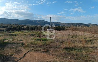 Aydın Çine Saraçlar'da Meralık Yatırım Fırsatı