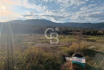 Aydın Çine Saraçlar'da Meralık Yatırım Fırsatı - 1 - 314075