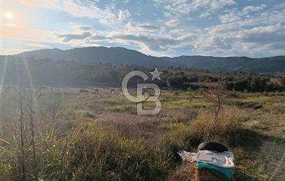 Aydın Çine Saraçlar'da Meralık Yatırım Fırsatı